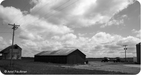 Memphis Family Farm